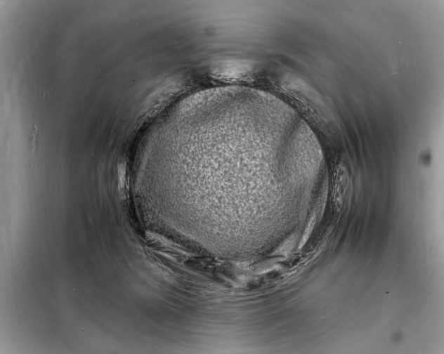 X0000098180420200805081028