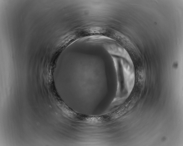 X0000098180422200805081028