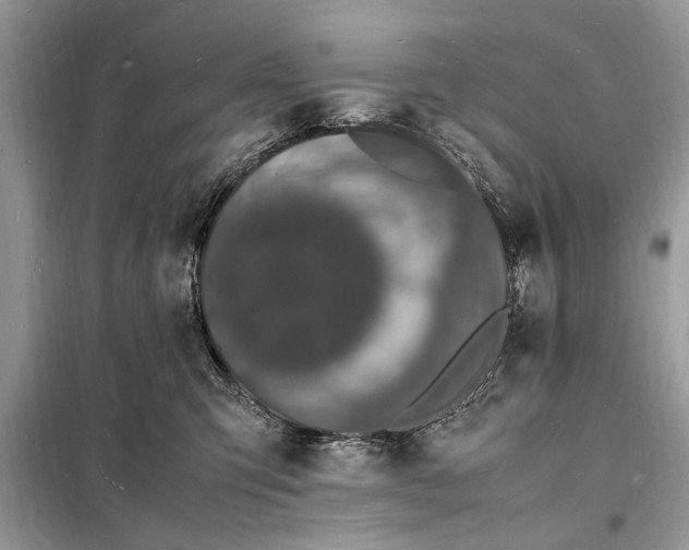 X0000098180423200805081028