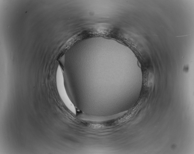 X0000098180425200805081028