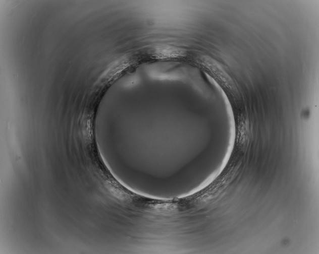 X0000098180426200805081028