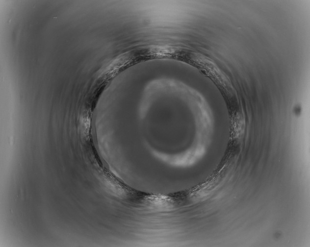 X0000098180427200805081028