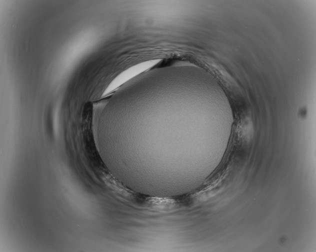 X0000098180429200805081028