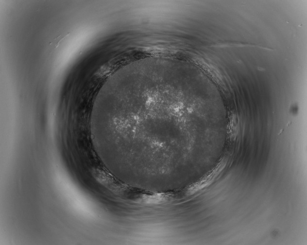 X0000098180430200805081028