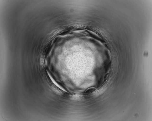 X0000098180432200805081028