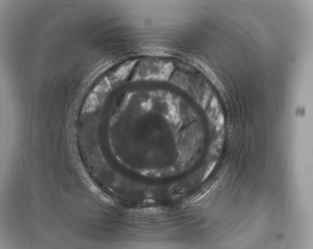 X0000098180433200805081027