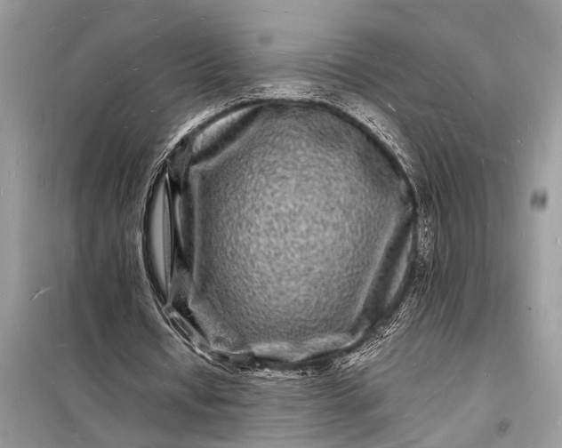 X0000098180434200805081027