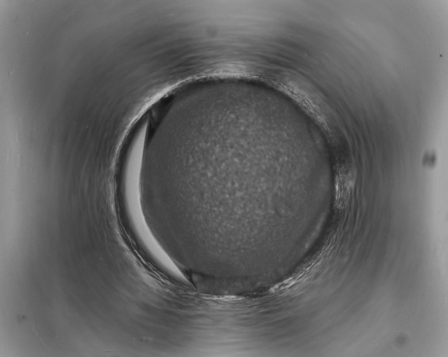 X0000098180436200805081027