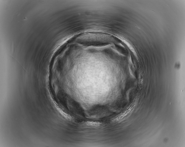 X0000098180437200805081027