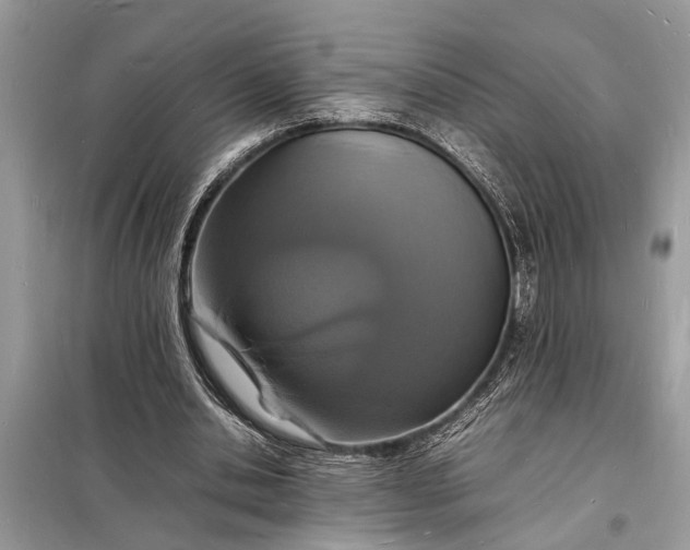 X0000098180438200805081027