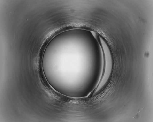 X0000098180440200805081027