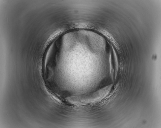 X0000098180442200805081027