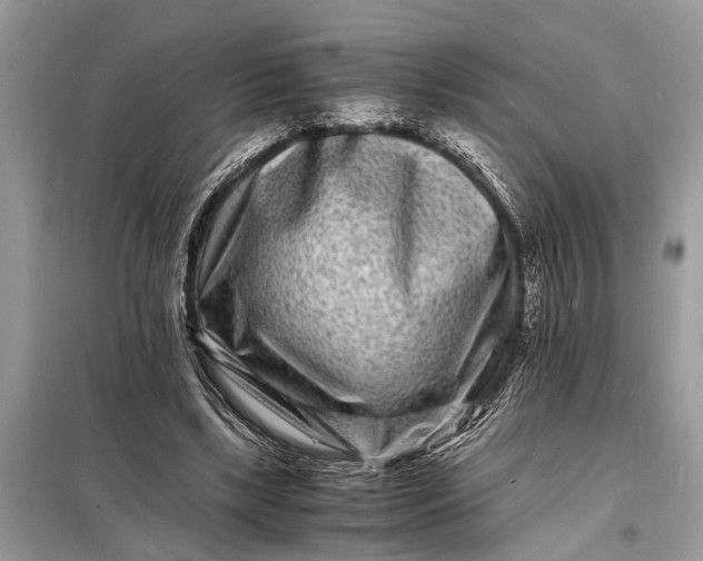 X0000098180443200805081027