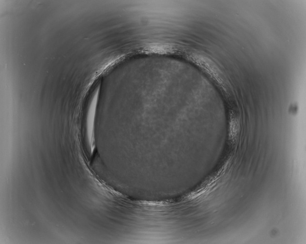 X0000098180444200805081027