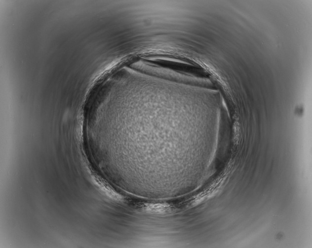 X0000098180446200805081027