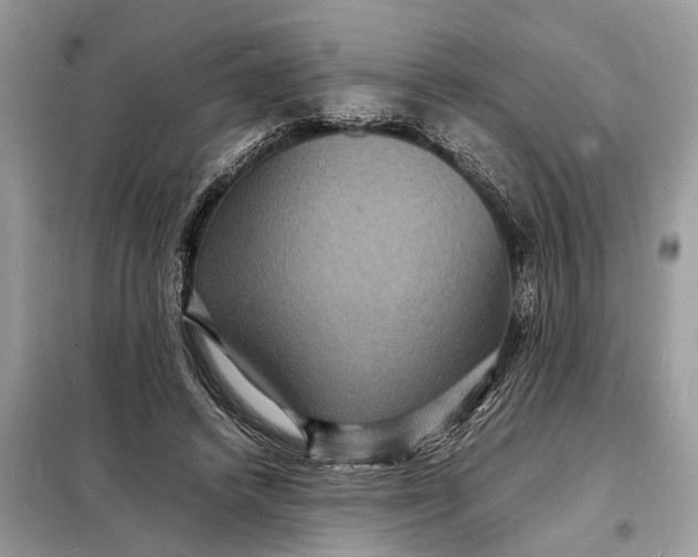 X0000098180448200805081028