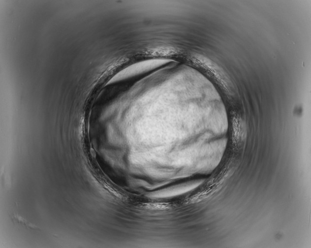 X0000098180451200805081028