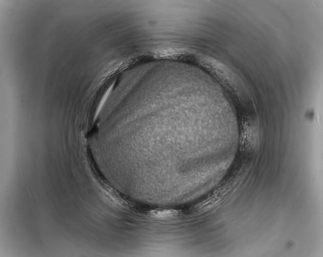 X0000098180452200805081028