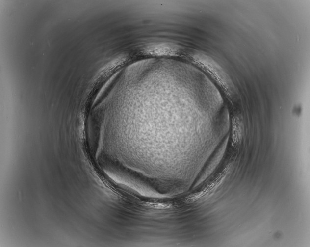 X0000098180453200805081028