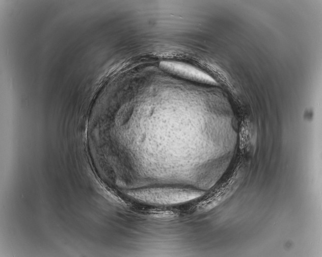 X0000098180454200805081028