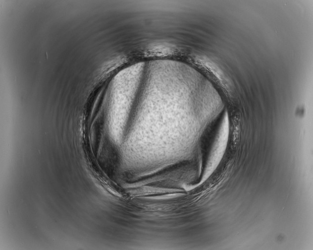 X0000098180455200805081028