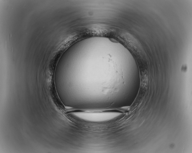 X0000098180456200805081028