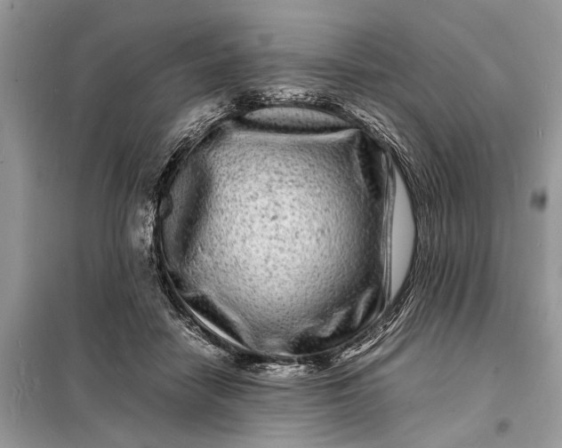 X0000098180458200805081028