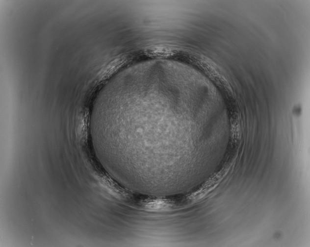 X0000098180460200805081028