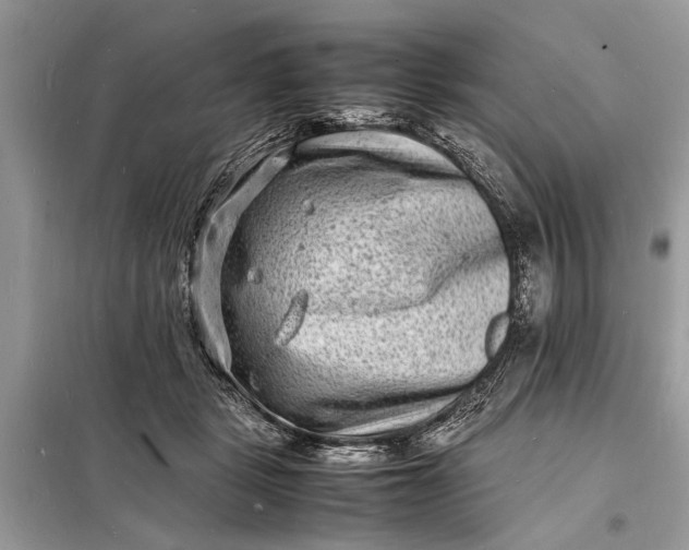 X0000098180461200805081028