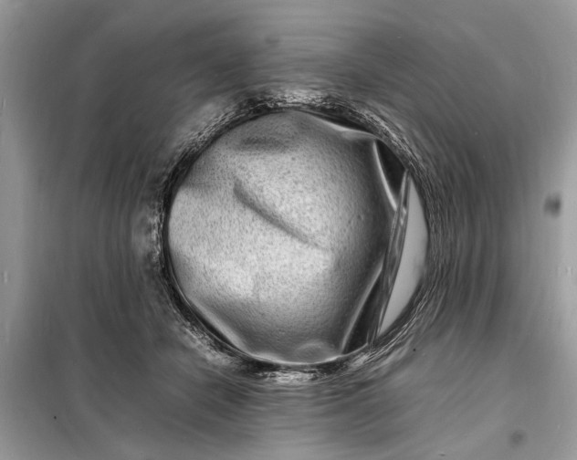 X0000098180462200805081028