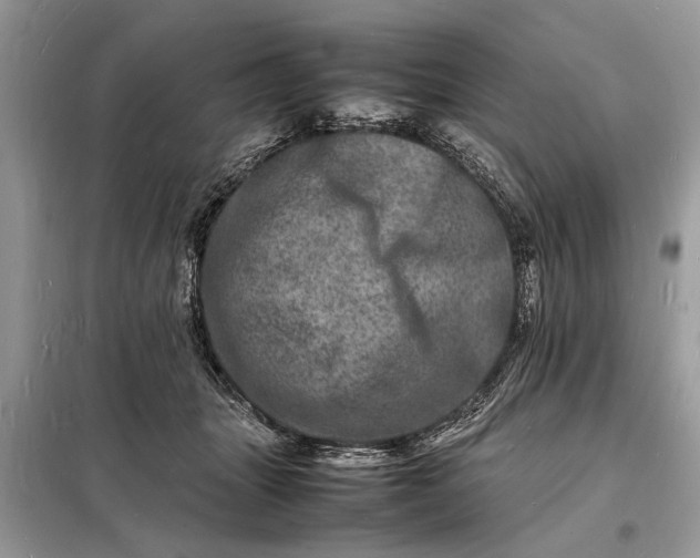 X0000098180463200805081028