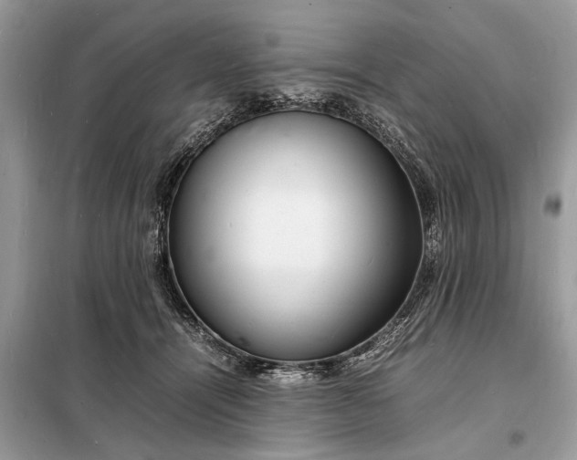 X0000098180464200805081028