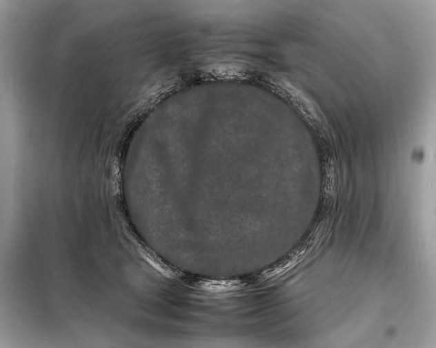 X0000098180465200805081028