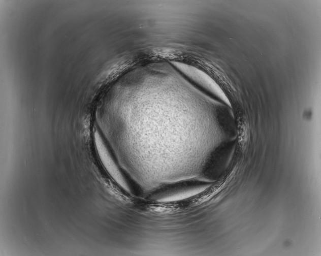 X0000098180466200805081028