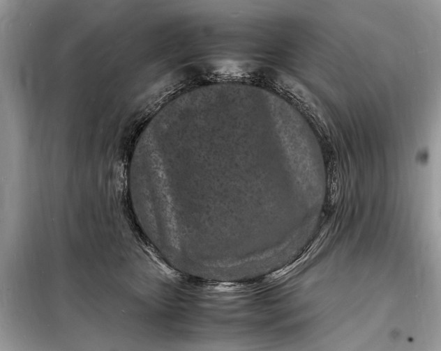 X0000098180467200805081028