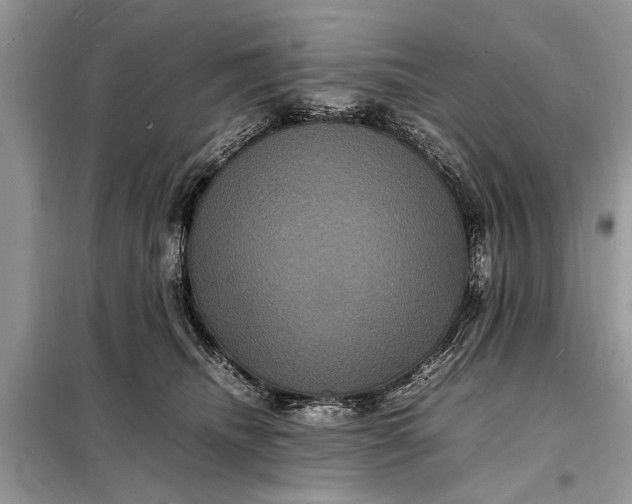 X0000098180468200805081028