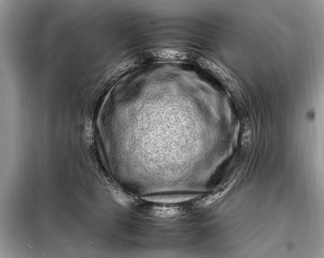 X0000098180469200805081028