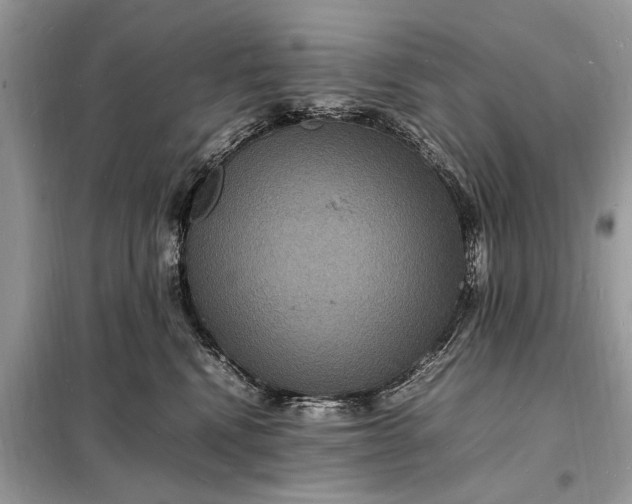 X0000098180472200805081028