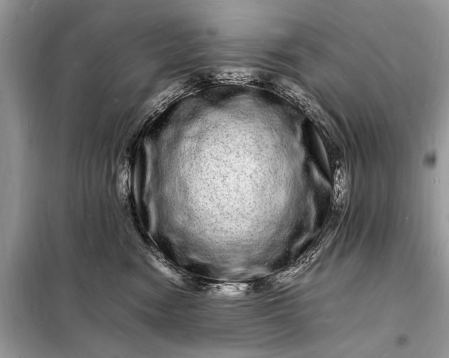 X0000098180474200805081028