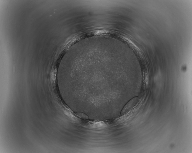 X0000098180475200805081028