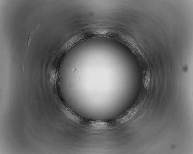 X0000098180476200805081028