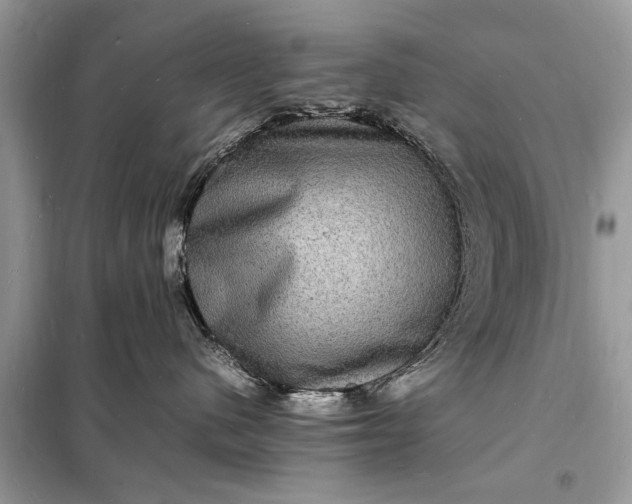 X0000098180480200805081028