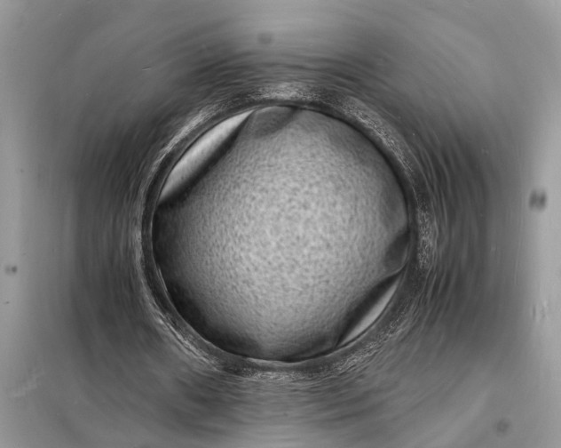 X0000098180482200805081027