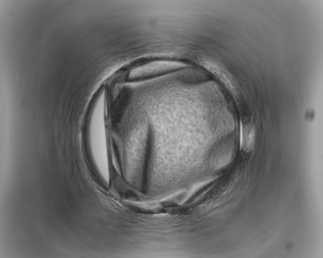 X0000098180483200805081027