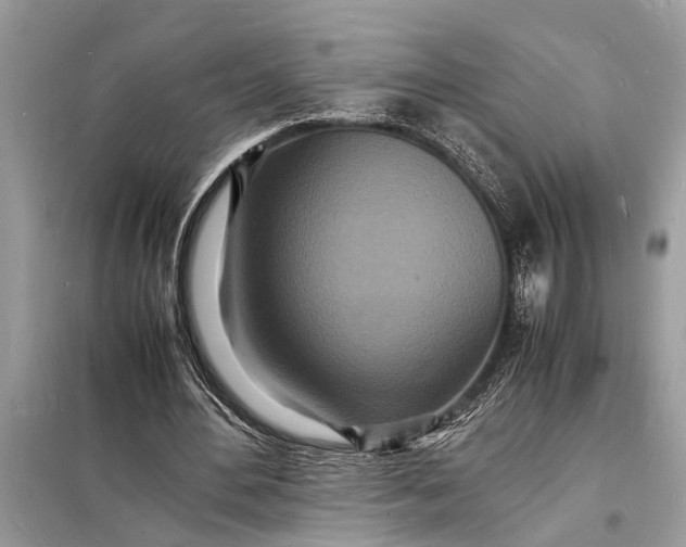 X0000098180484200805081027