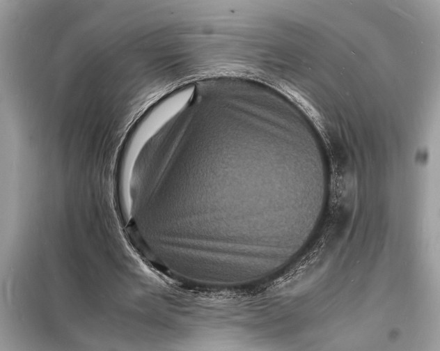 X0000098180485200805081027