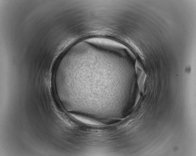 X0000098180486200805081027