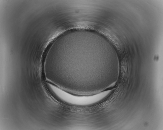 X0000098180488200805081027