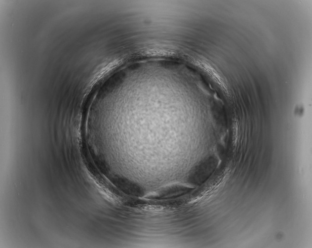 X0000098180490200805081027