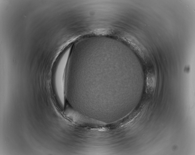 X0000098180492200805081027